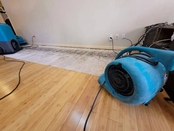 Professional Burst Pipe Water Damage technician working in South Rockwood, MI